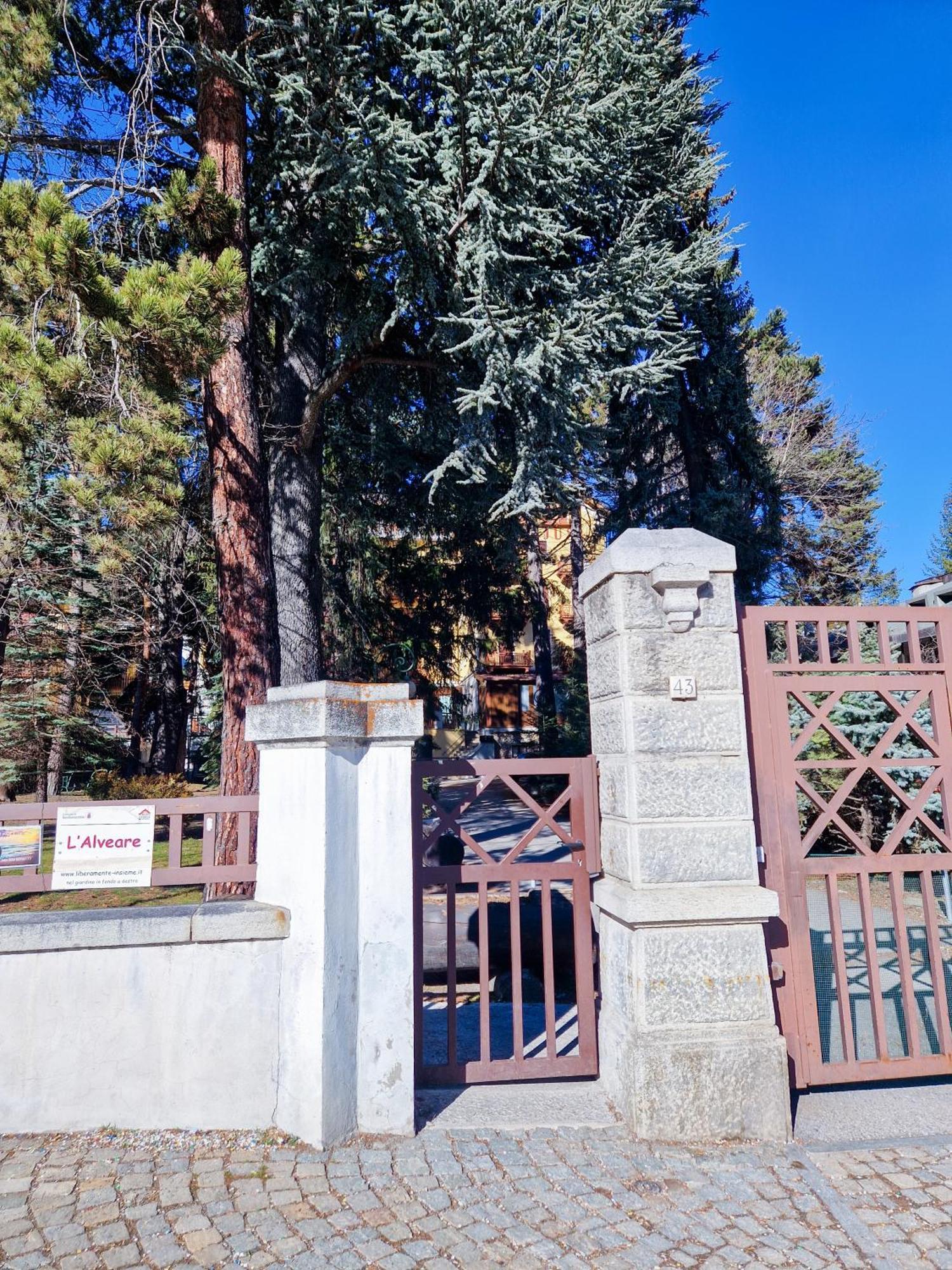 Bardonecchia Studio Apartment - Frejus Palace Kültér fotó